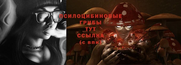 таблы Ельня