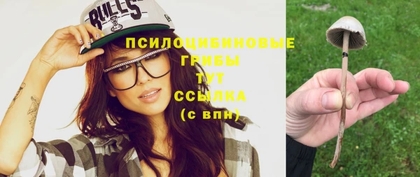 таблы Ельня