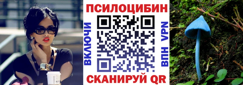 Купить закладки  Кувандык  Галлюциногенные грибы Psilocybe 